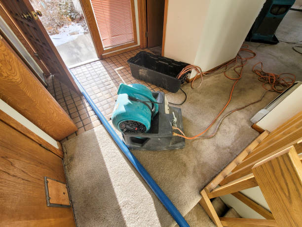 Water damage restoration experts in Fairway, KS