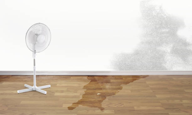 Best Water damage restoration experts  in Fairway, KS
